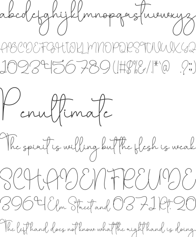 Wedding Graduation font preview