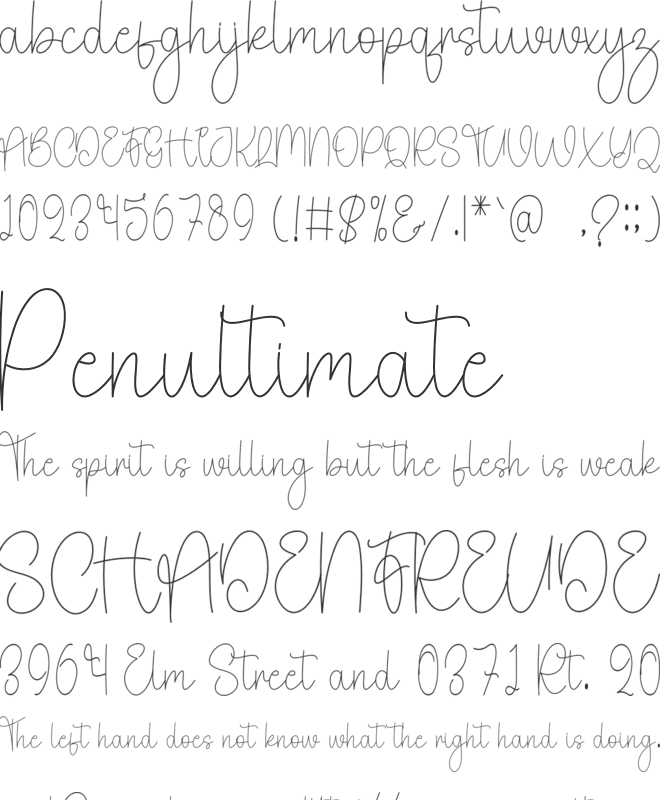 Cowgirls font preview