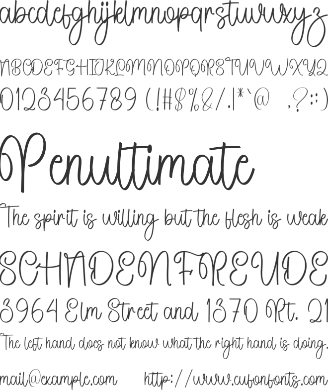 Story Pumpkin font preview