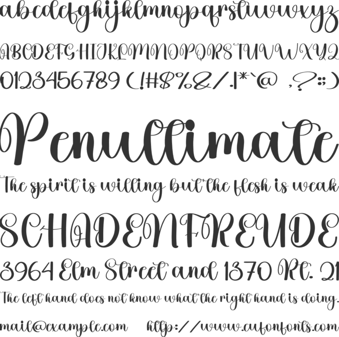 Holiday Maddison font preview