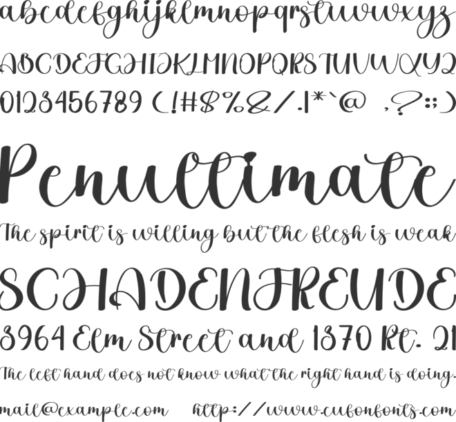 Floral Wedding font preview