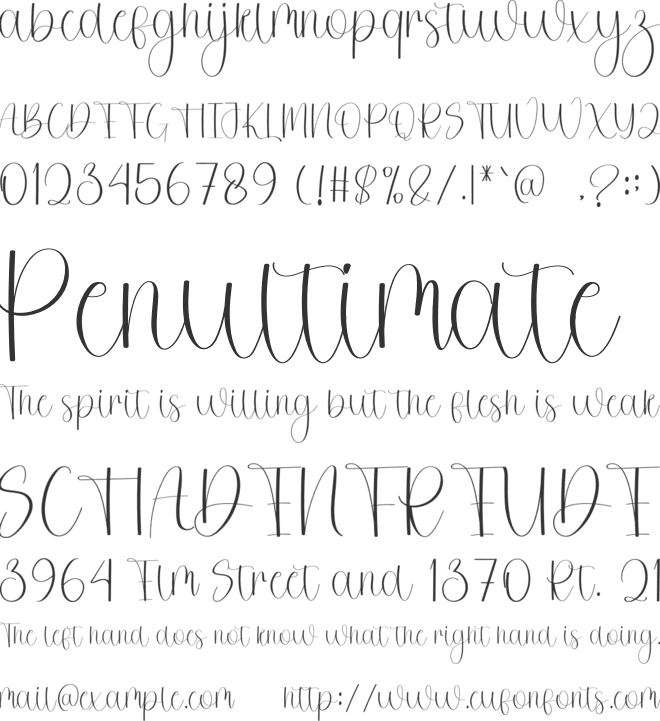 Beloved Photograph font preview