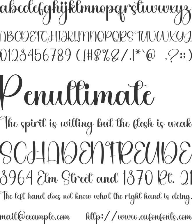 Shopia Southine font preview