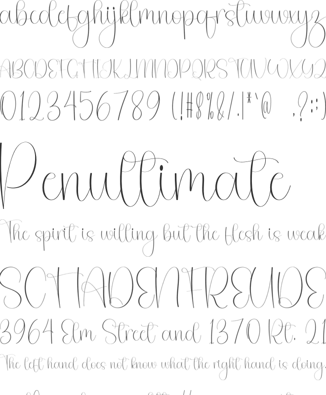 Background Luxury font preview
