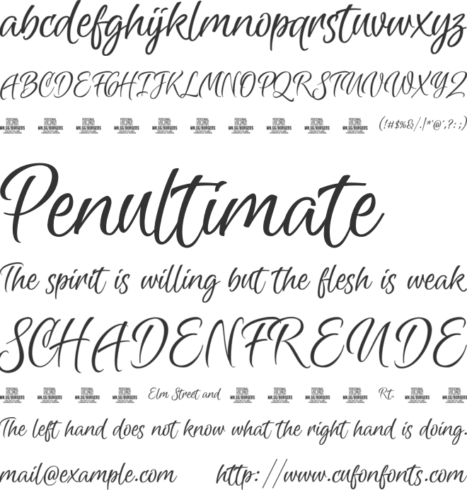 Borgers Script PERSONAL USE font preview