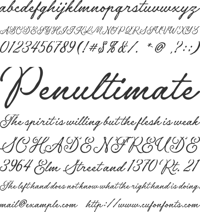 Roben Elegante font preview