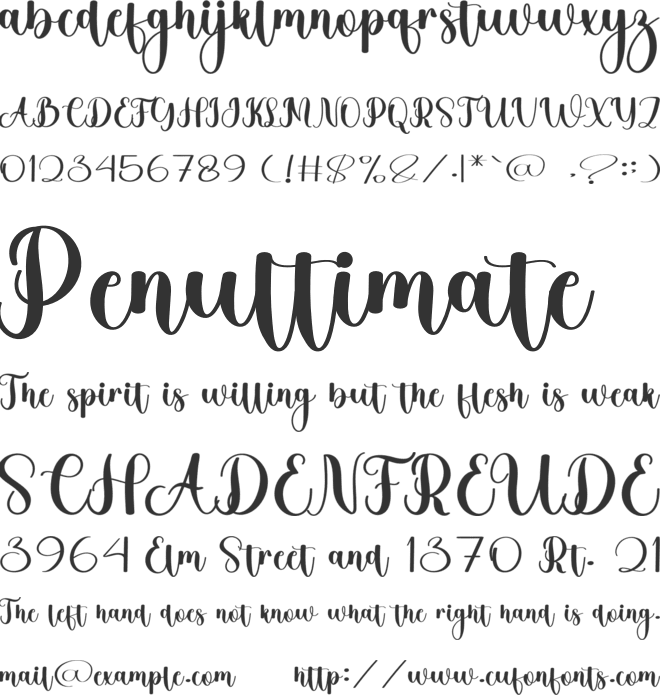 Queen Wedding font preview