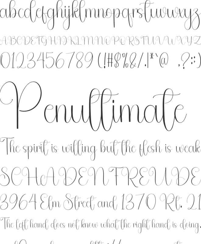 This Wedding font preview