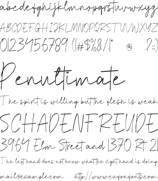 Sydney Signature font preview