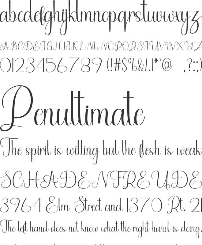 Textbook School font preview