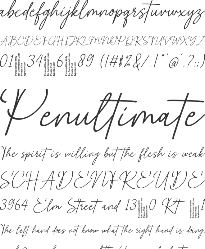 Whiteline font preview