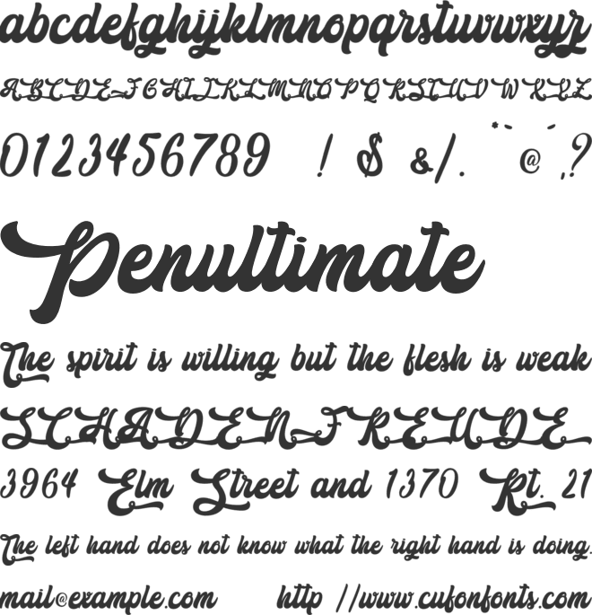 The Holiday - Personal Use font preview