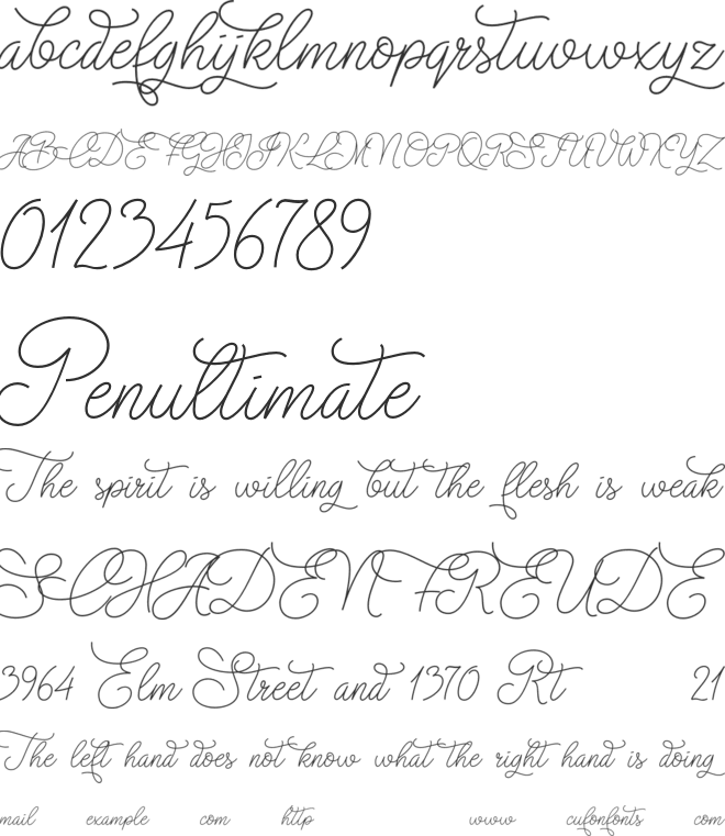 Christmas Wish font preview