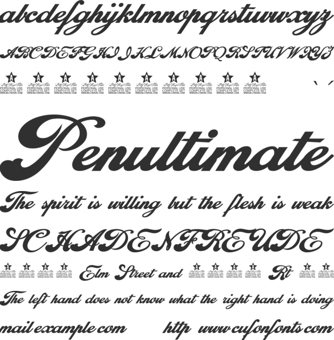 Euphoria Personal Use font preview