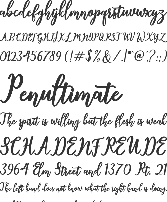 Thatcher font preview