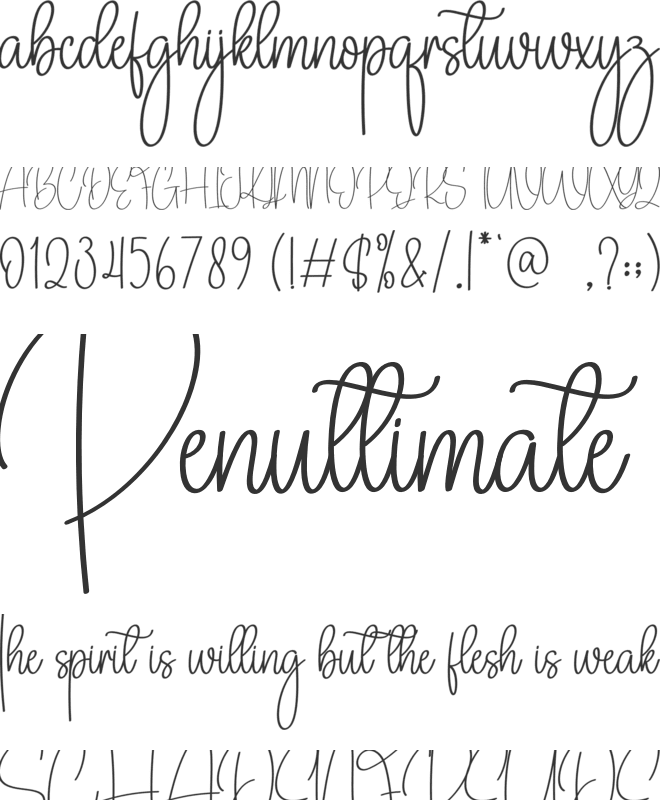 Berlina Signature font preview