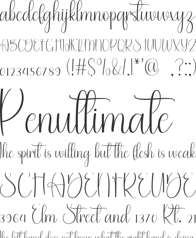 Black Spider font preview