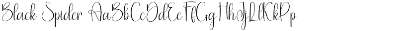 Black Spider font