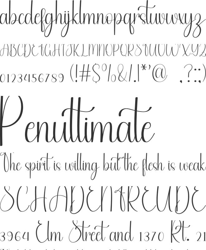 Festival Fruit font preview