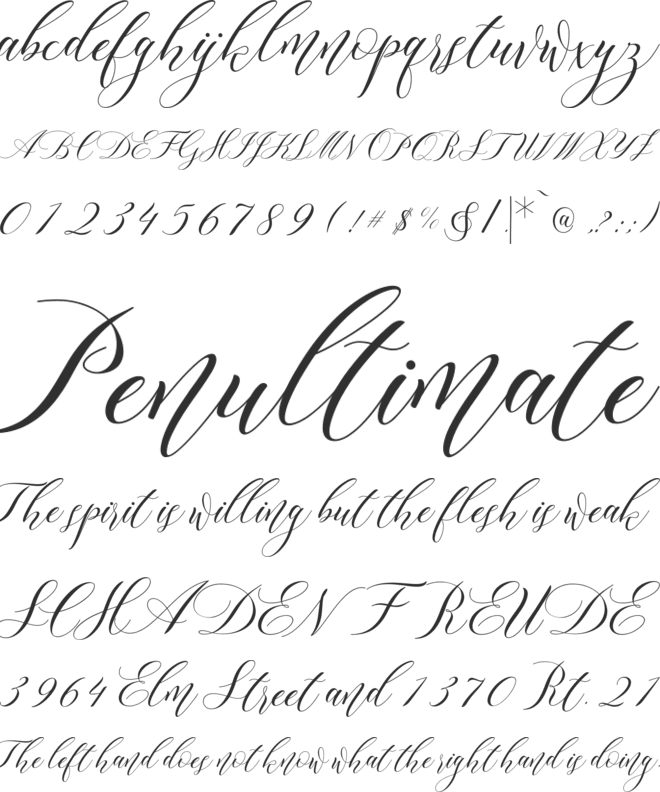 Lorriana script font preview