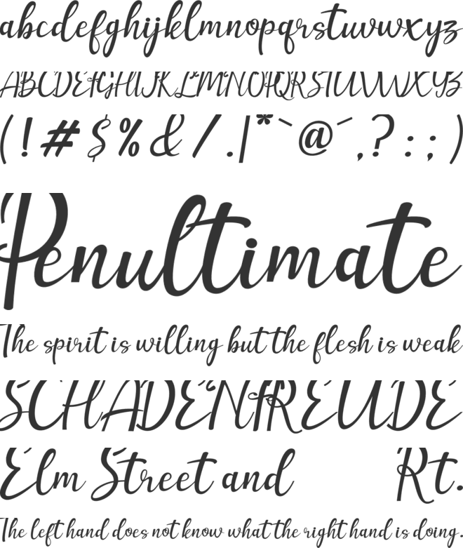 amellia font preview