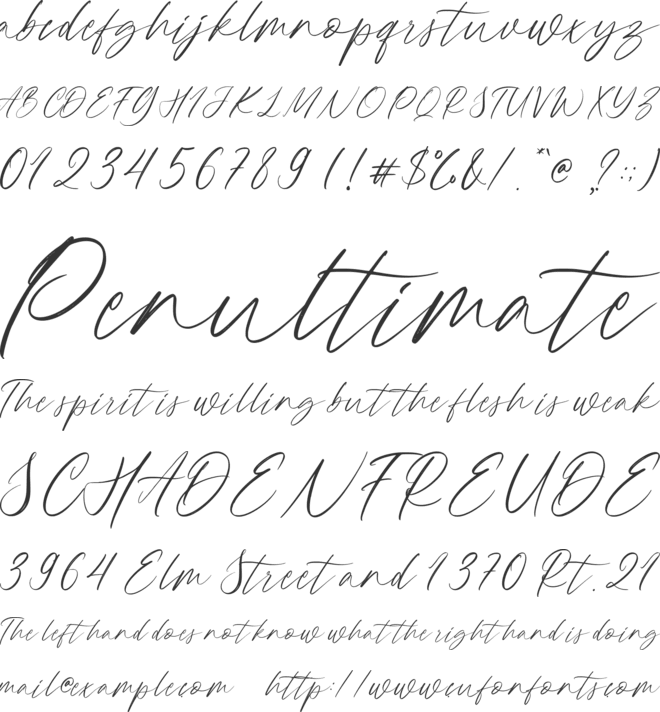 Camalla Rose font preview