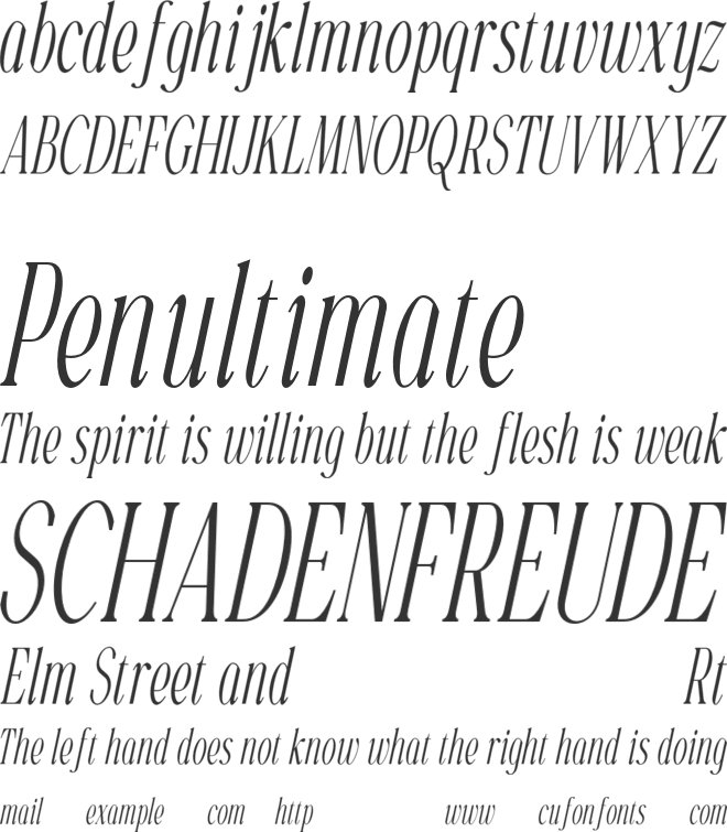 Gorga T VP font preview