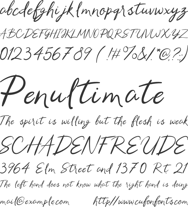 Samantha Brandon Aesthetic Calligraphy font preview