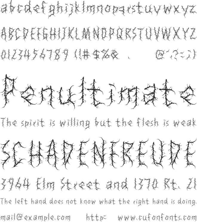XC Forest font preview