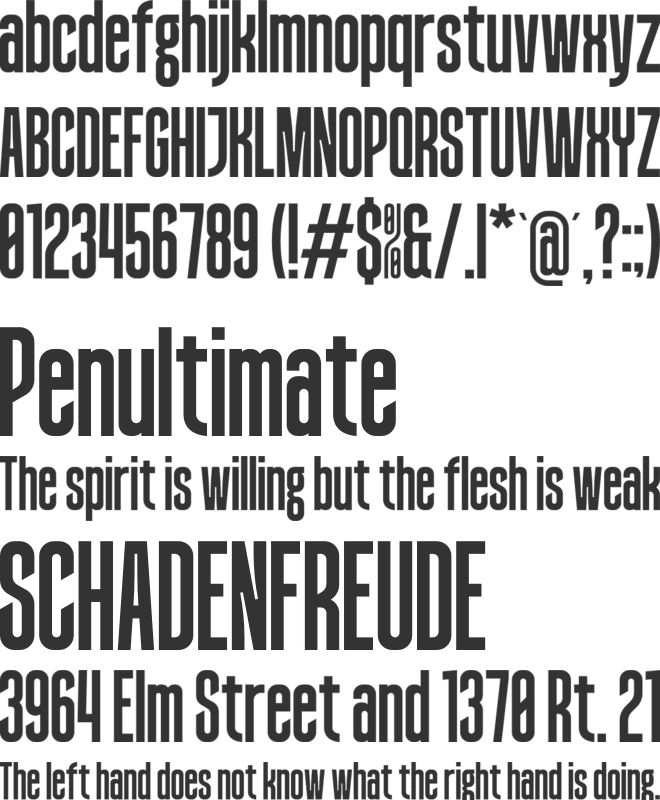 Brandel Luchador font preview