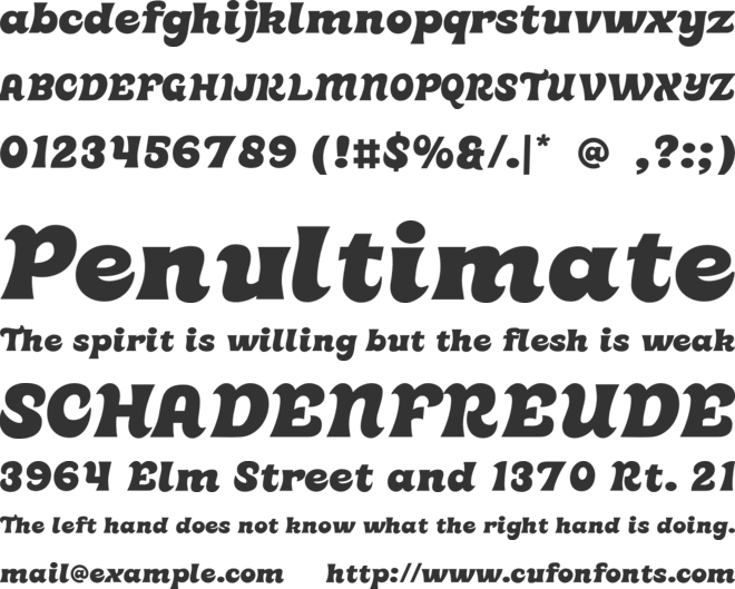 Wiona Personal Use Only font preview