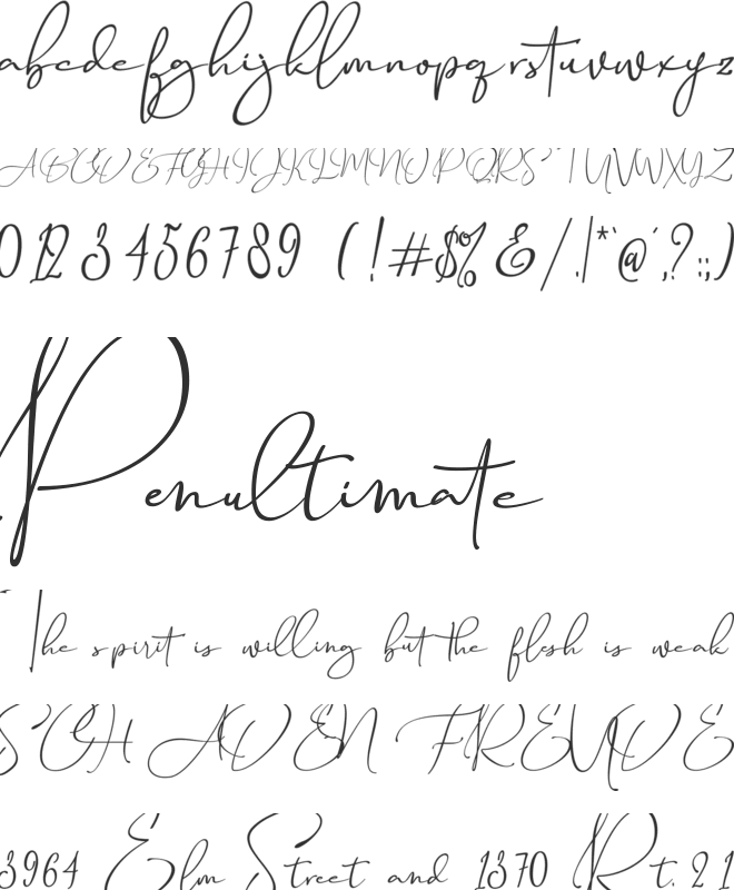 Travel Soulmates Signature font preview
