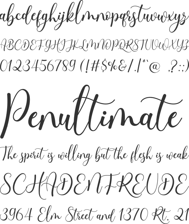 Shipwest font preview