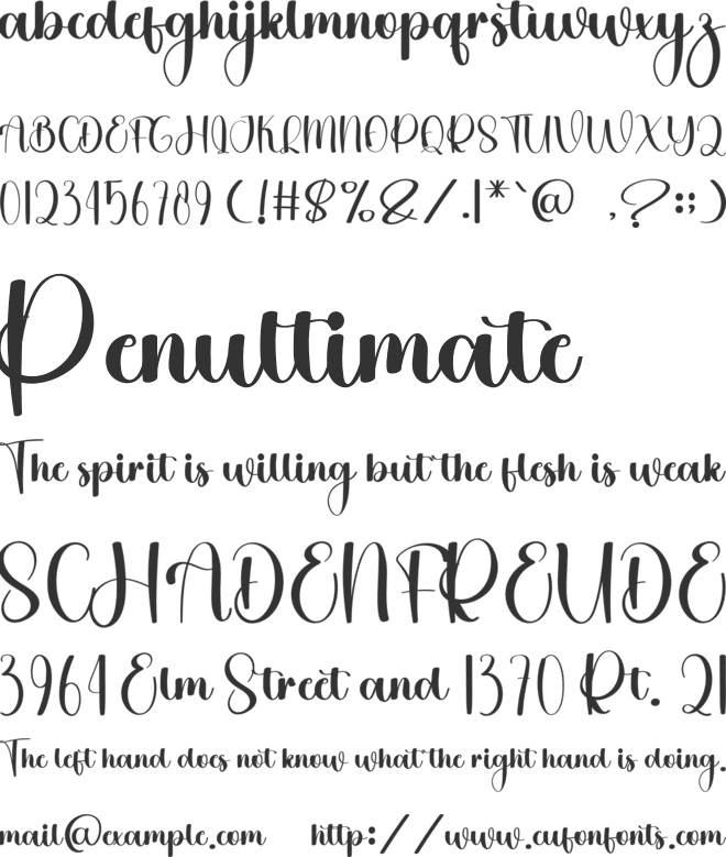 Christmas Honeymoon font preview