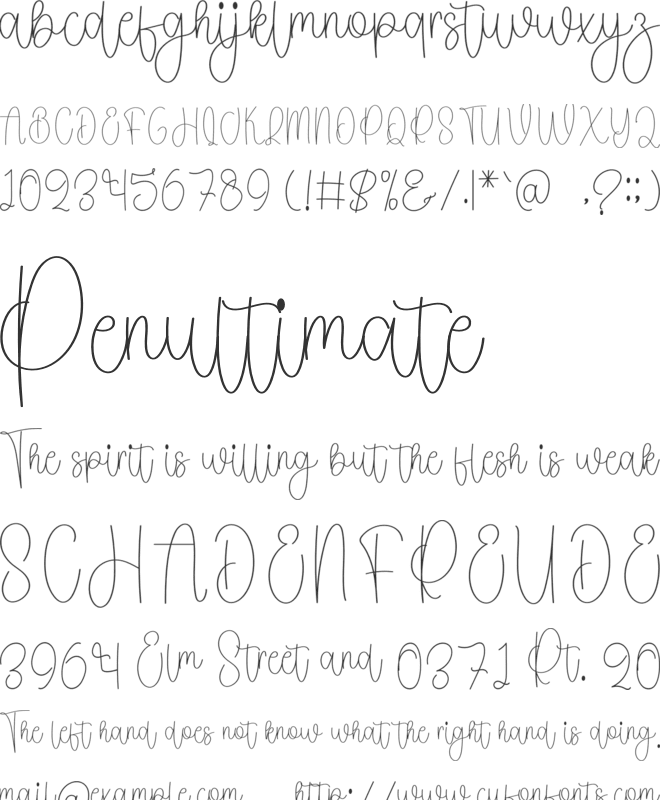 Quality Signature font preview