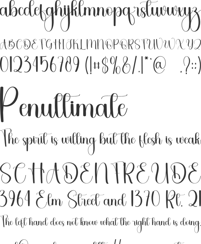 Whisky Wonderful font preview