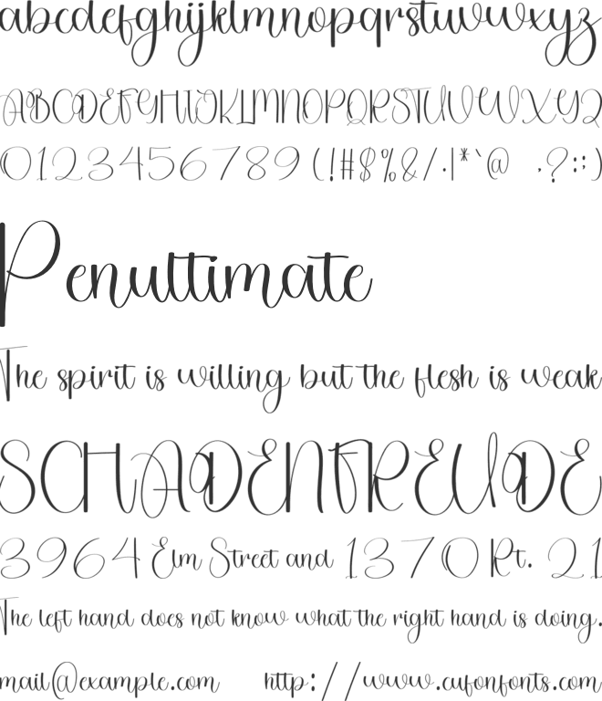 Hey font preview