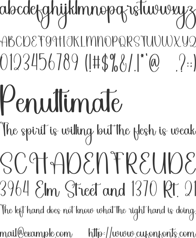 Sometimes Beautiful font preview