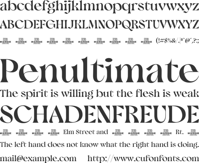 Resolide Serif PERSONAL USE font preview
