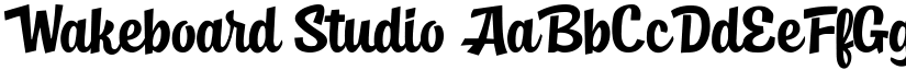 Wakeboard Studio font download