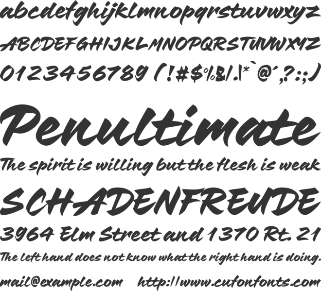 Barbecue Chicken font preview