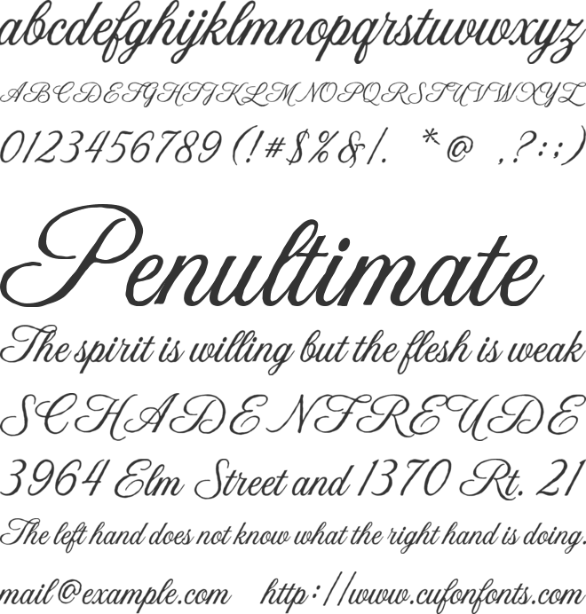 Bonfield font preview