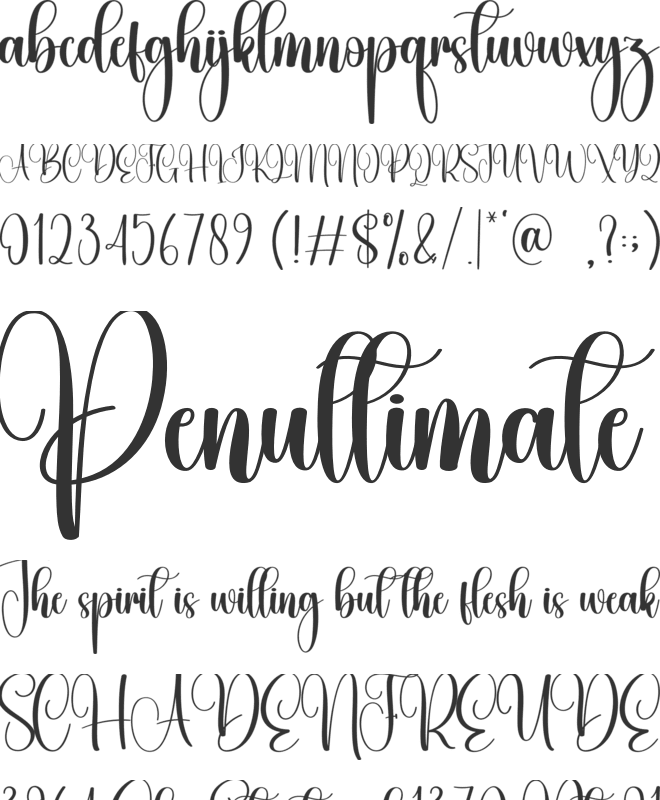 Western font preview