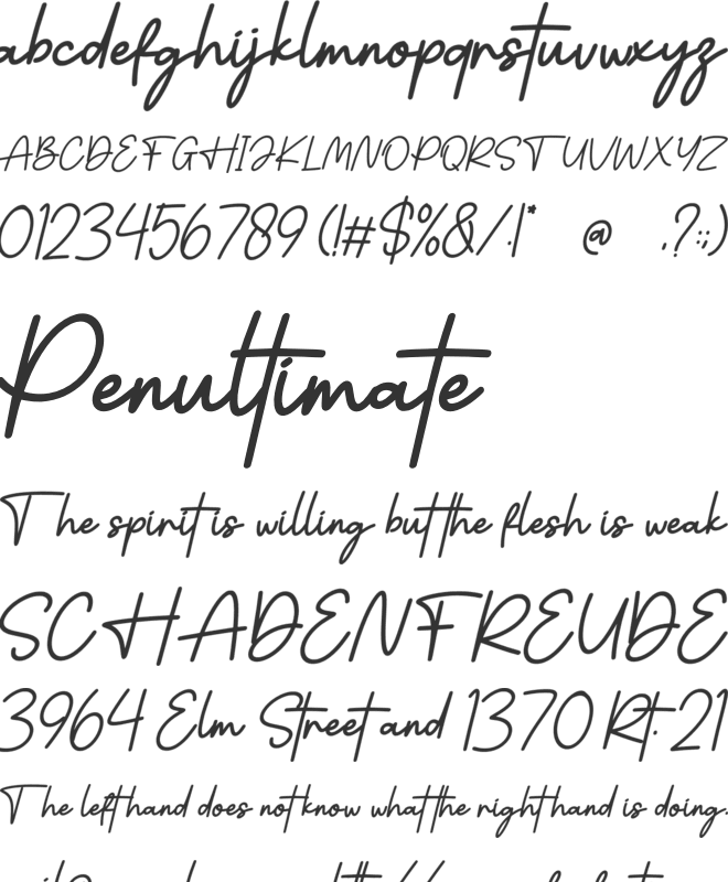 Velmora Signature font preview