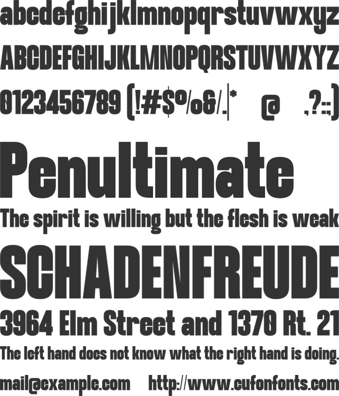 Pocity font preview