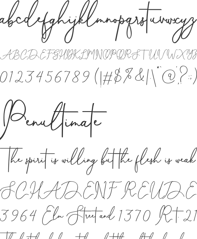 Celesta diaz font preview