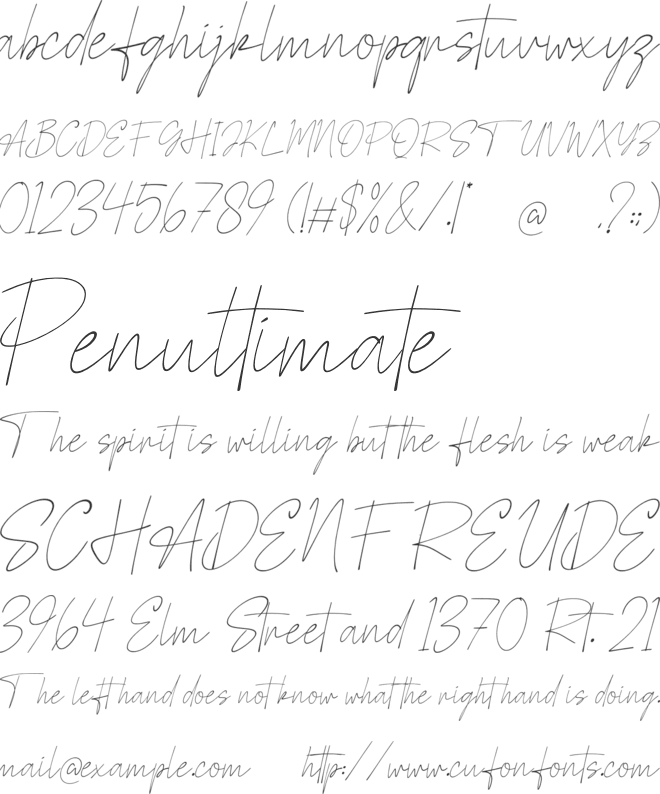 Pauline Signature font preview