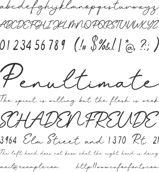 Moonlight Elegant Signature Tatuering font preview