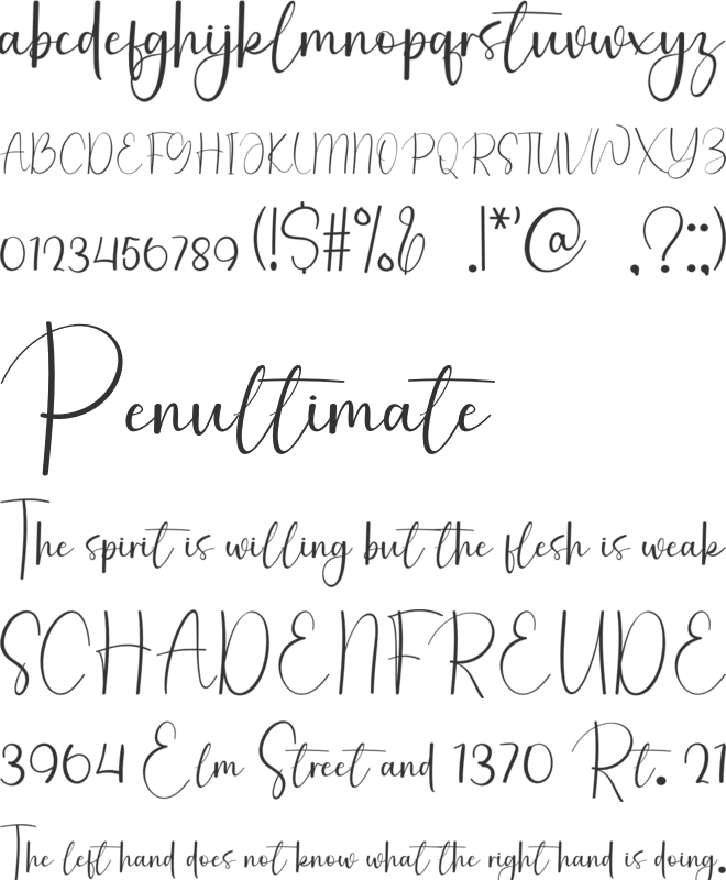 Freshline Signature font preview
