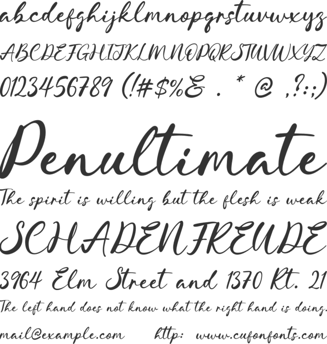 Sling Note font preview